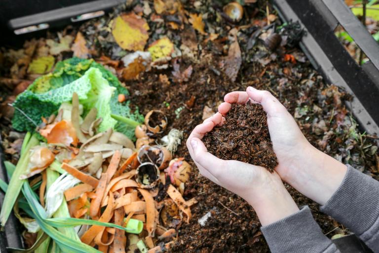 Hands holding compost in a heart shape.