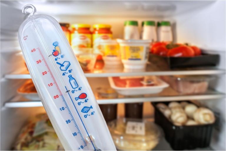 Fridge thermometer in the foreground with fridge shelves behind.