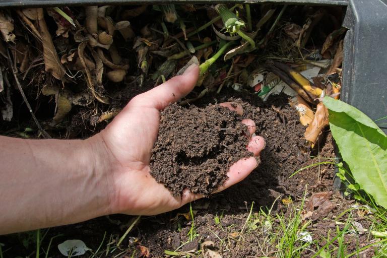 Hand holding compost by a compost bin hatch.