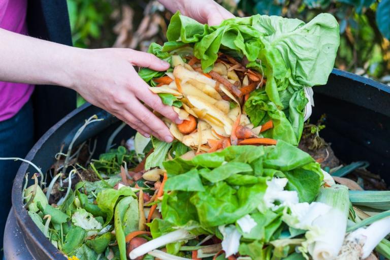 Hands putting vegetable scraps into a compost bin.