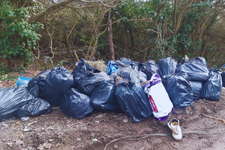 Black bin bags fly-tipped at the side of a road.