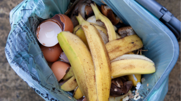 Overhead view of food caddy with banana peel on top.